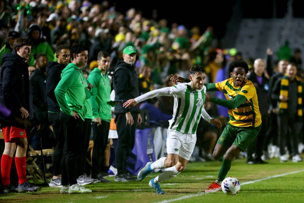 体和对抗能 体和对抗能